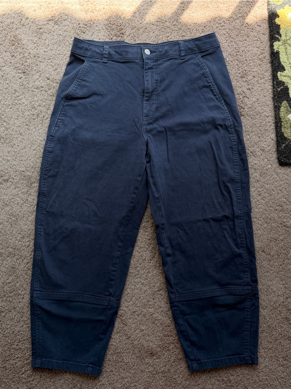 Everlane Navy Blue Utility Barrel Pant